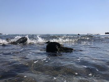 Scenic view of sea against clear sky