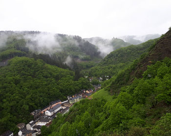 Mystic view on valley endert near cochem in rhineland-palatinate, mosel region, germany