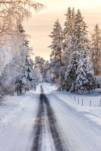 Snow covered road amidst trees against sky during winter