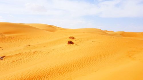 Sand dunes in desert against sky