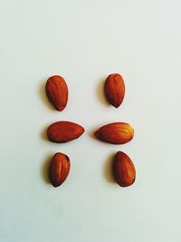 Close-up of food on white background