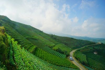 Scenic view of agricultural field against sky