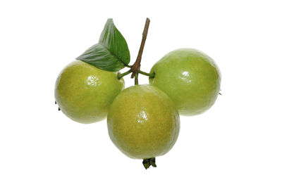 Close-up of fruit against white background