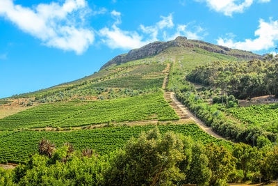 Low angle view of green mountain against sky