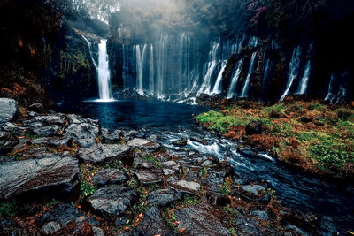 Scenic view of waterfall in forest