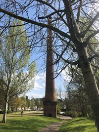 Trees in park against sky