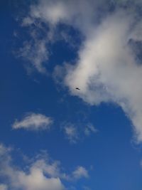 Low angle view of bird flying in sky