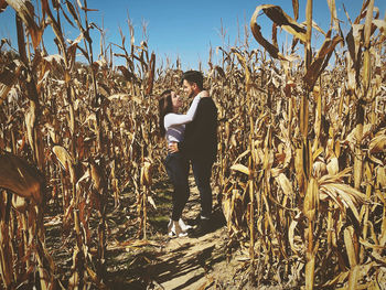 Couple hugging  in a corn maze