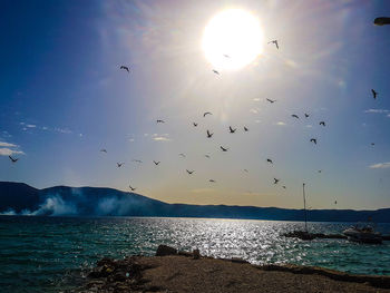 Birds flying over sea against sky