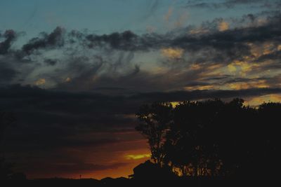 Silhouette of trees at sunset