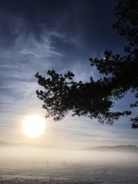 Silhouette trees against sky during sunset