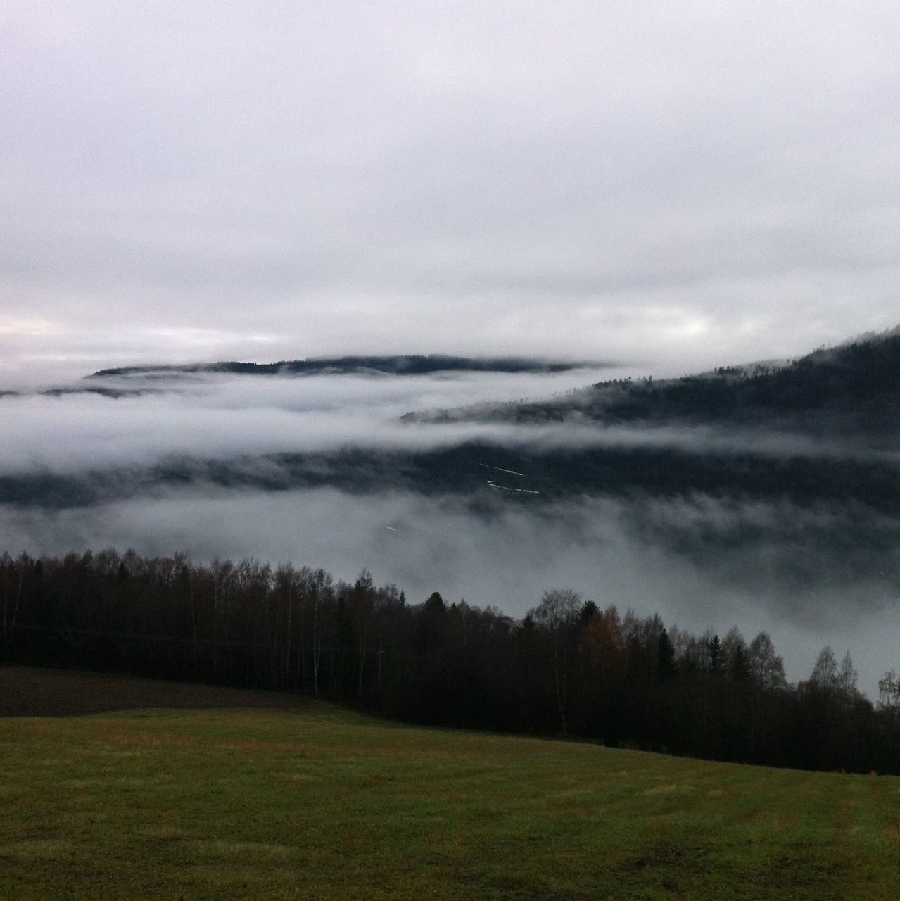 tranquil scene, scenics, beauty in nature, tranquility, landscape, winter, weather, nature, cold temperature, snow, mountain, tree, sky, non-urban scene, idyllic, fog, season, field, growth, remote