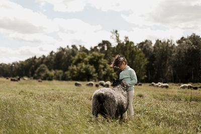 Girl stroking sheep