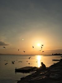 Silhouette birds flying over lake against sky during sunset