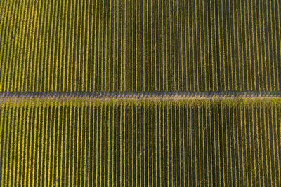 Full frame shot of curtain