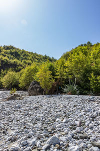 Scenic view of river against clear sky