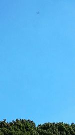 Low angle view of trees against clear blue sky