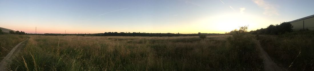 Scenic view of field against sky during sunset