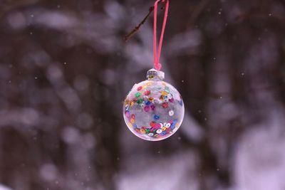 Close-up of bubbles in snow. christmas decoration on tree in a lokal park