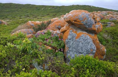 Scenic view of rocky mountain against sky
