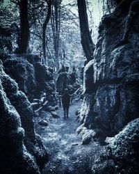 Rear view of men walking on rocks in forest