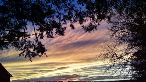 Low angle view of silhouette trees against sky