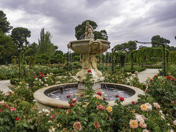 View of fountain in garden