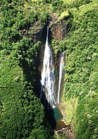 Scenic view of waterfall in forest