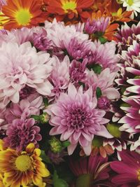 Full frame shot of pink flowers