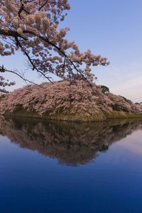 Reflection of trees in lake against blue sky