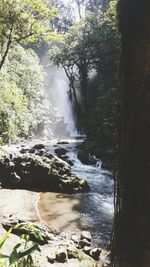 River flowing through rocks