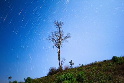 Star trails over field against sky