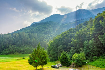 Scenic view of trees and mountains against sky