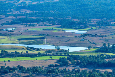 High angle view of trees on field