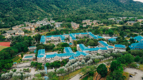 High angle view of trees and buildings in city