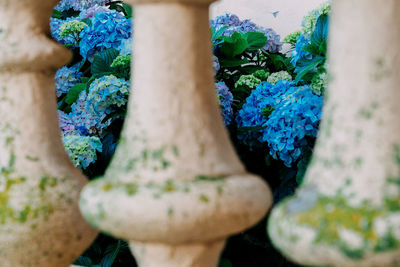 High angle view of potted plant