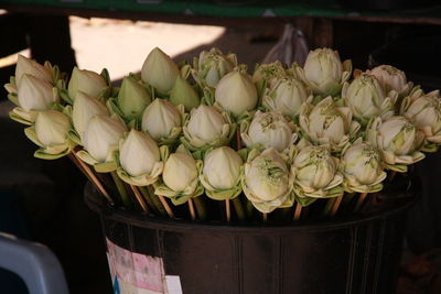 Close-up of potted plant at market stall