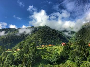 Scenic view of green mountains against sky