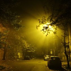 Cars parked on road at night