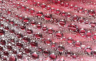 Full frame shot of water drops on pink