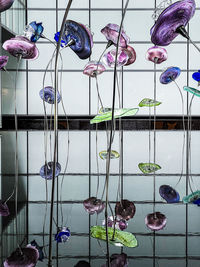 glass
