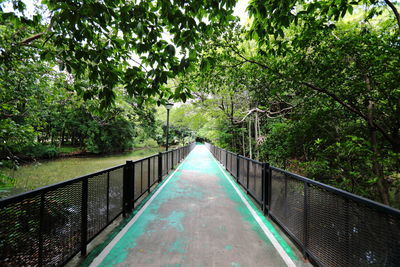 Footbridge over canal amidst trees in forest