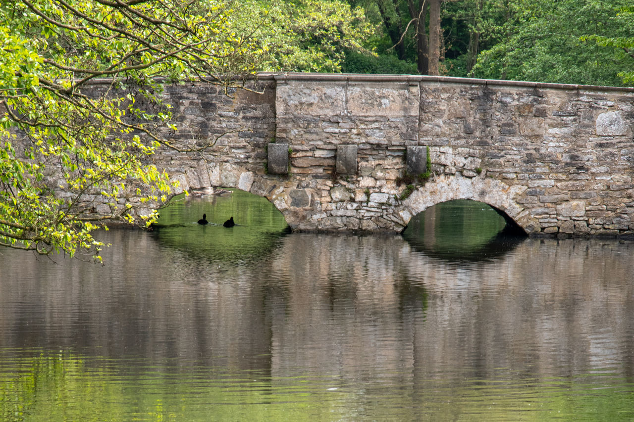 ARCH BRIDGE BY LAKE