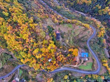 High angle view of road amidst trees during autumn