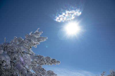 Low angle view of snowcapped mountains against blue sky on sunny day