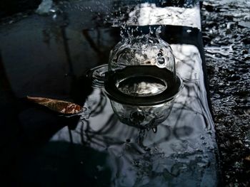 High angle view of turtle in water