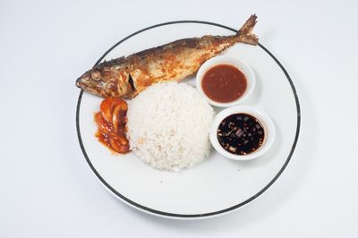 Close-up of food served in plate