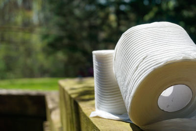 Close-up of hat against trees in park