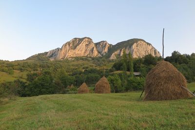 Scenic view of landscape against clear sky