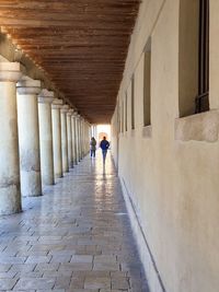 Shiny pathway of a long arcade